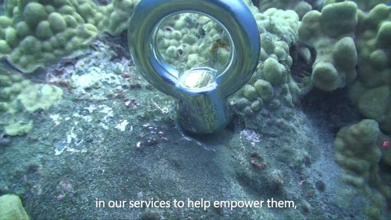 Cas client : Jack’s Diving Locker – Comment protéger nos océans